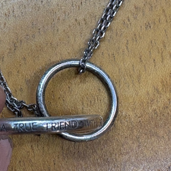 Silver Interlocking Circle Necklace “Hold a true Friend with both your hands” - Picture 4 of 8